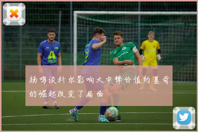 杨鸣谈科尔影响大中锋价值约基奇的崛起改变了局面
